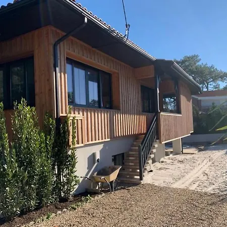 Du Canon * Lège-Cap-Ferret